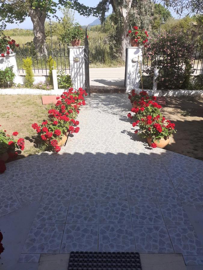 Issos Apartments Agios Georgios  Exteriér fotografie