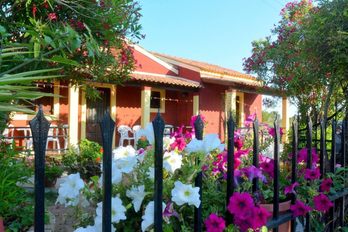 Issos Apartments Agios Georgios  Exteriér fotografie